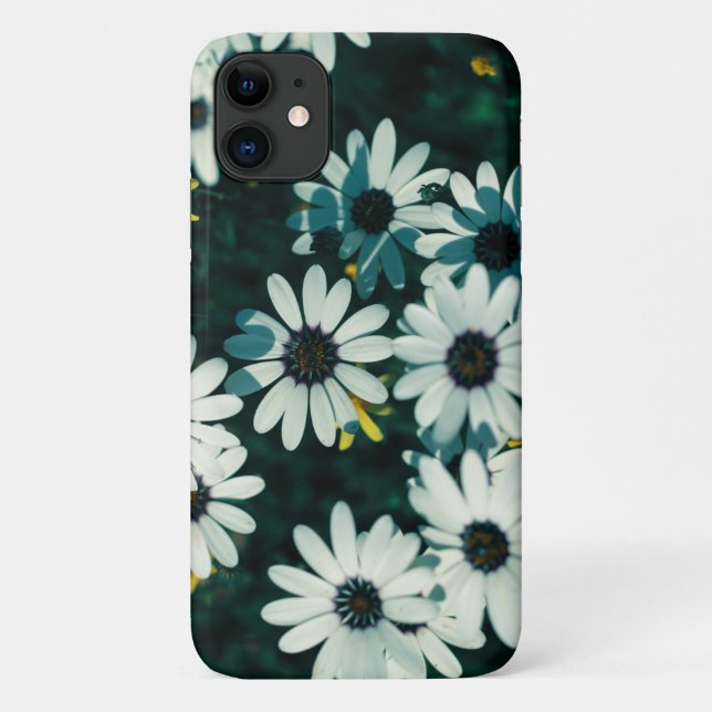 Namaqualand Flowers iPhone 11 Case (Back)