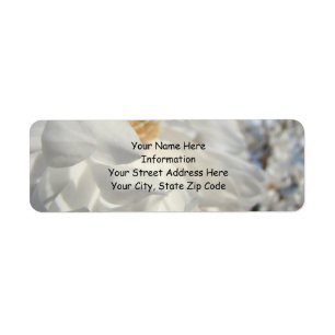 Name Address Labels White Magnolia Flowers