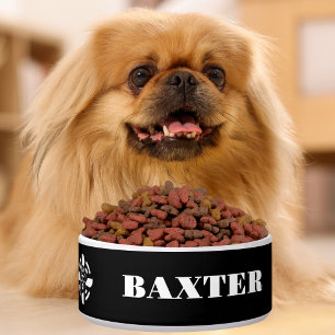 Name & Co-Pilot Typography, Skull Pilot & Airplane