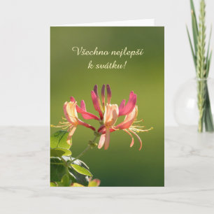 Name Day card in Czech