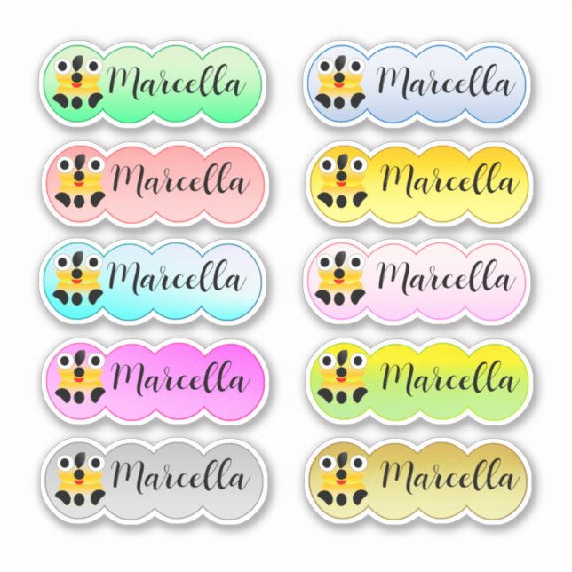 Name Sticker Set Multi Color With Cute Face (Front)