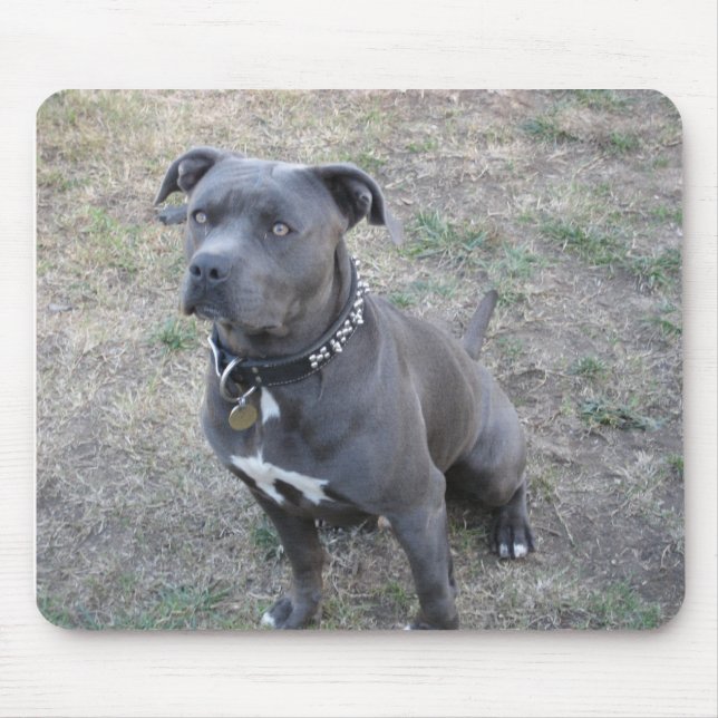 Name Your Mousepadsarge Mouse Pad (Front)