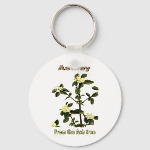Names&Meanings - Ashley Key Ring