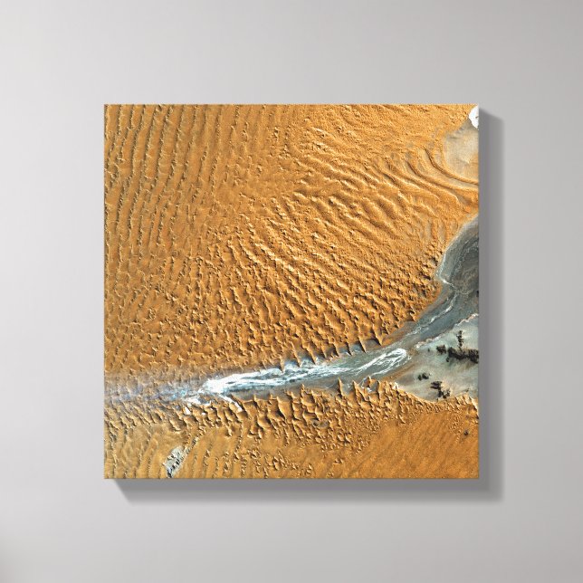 Namib Desert, Namibia Canvas Print (Front)