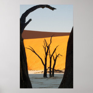 Namib-Naukluft Park, Sossusvlei   Dead Vlei Poster