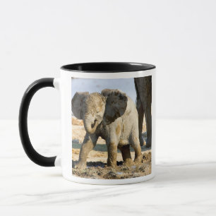 Namibia, Africa: Baby African Elephant Mug