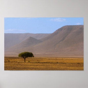 Namibia Africa Desert Scenery Landscape Nature Poster