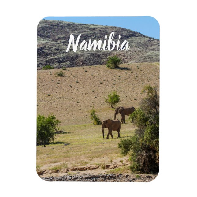 Namibia Africa Huab River Elephant Damaraland Magnet (Vertical)