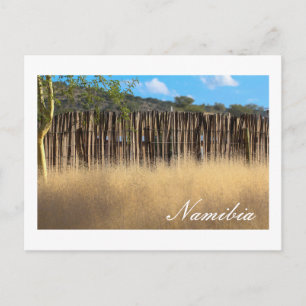 Namibia Africa Namibian Landscape Nature Grass Postcard