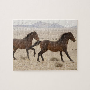 Namibia, Aus. Wild horses running on the Namib Jigsaw Puzzle