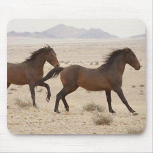 Namibia, Aus. Wild horses running on the Namib Mouse Pad