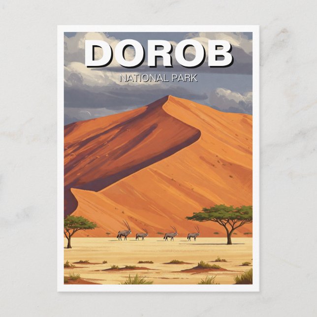 Namibia Dorob National Park Travel Postcard (Front)