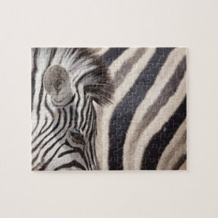 Namibia, Etosha National Park. Details of two Jigsaw Puzzle