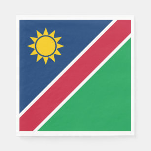Namibia Flag Napkin