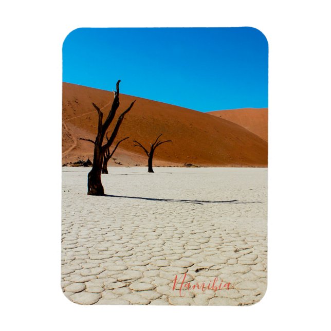 Namibia Sand Dunes Landscape Sossusvlei Magnet (Vertical)