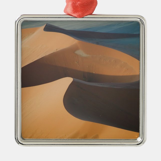 Namibia, Soussevlei, Great Red Sand Dunes, Metal Tree Decoration (Front)