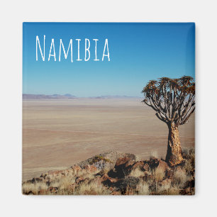 Namibia Tirool Namib Desert Landscape Kokerboom Magnet