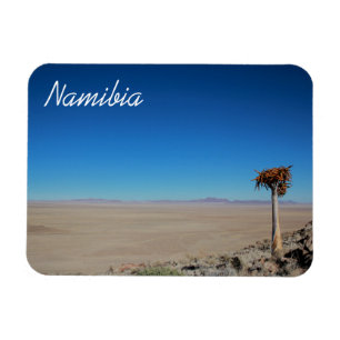Namibia Tirool Namib Desert Landscape Kokerboom Magnet
