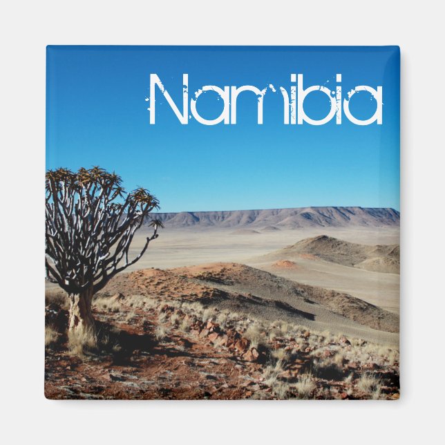 Namibia Tirool Namib Desert Landscape Kokerboom Magnet (Front)