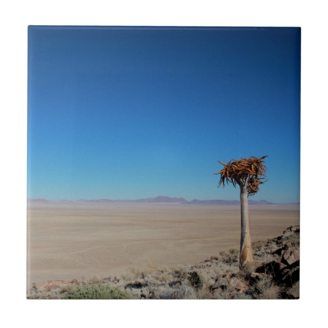 Namibia Tirool Namib Desert Landscape Kokerboom Tile (Front)