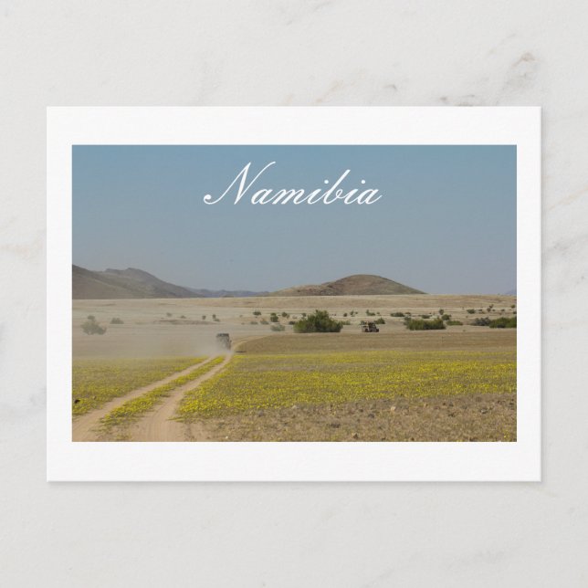 Namibia Wilderness Road Landscape Nature Postcard (Front)