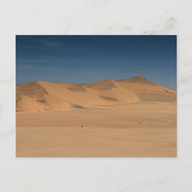 Namibia - Yellow Namib desert dunes postcard (Front)