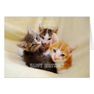 Nana, Warm and Fuzzy Kitten Trio Happy Birthday