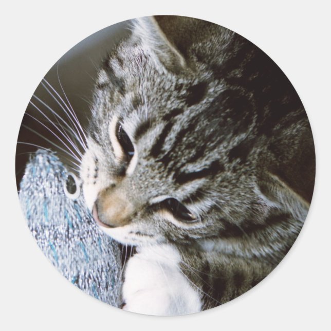 nancy with mouse classic round sticker (Front)