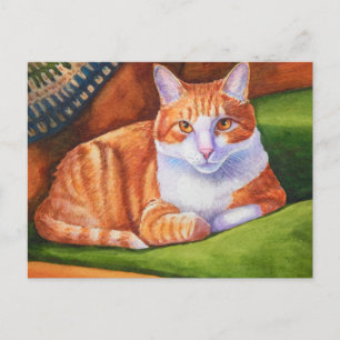 Nancy's Widget Postcard