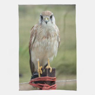Nankeen Kestrel Tea Towel