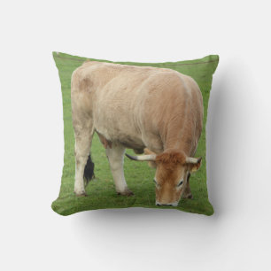 Nantaise cow in a field cushion