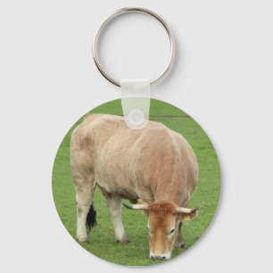 Nantaise cow in a field key ring