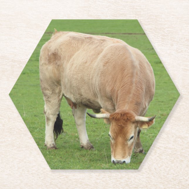Nantaise cow in a field paper coaster (Front)