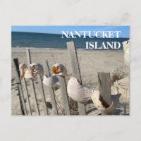 Nantucket Beach Shells on a Fence Postcard