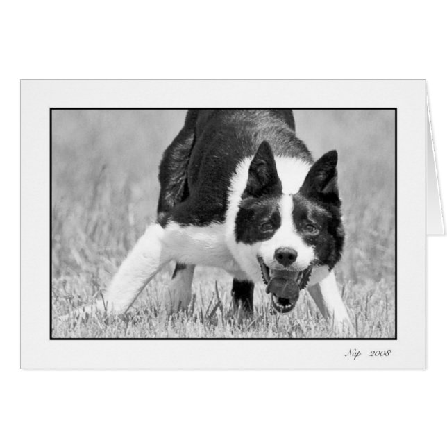 Nap (Front Horizontal)