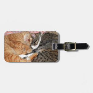 Nap Buddies Luggage Tag