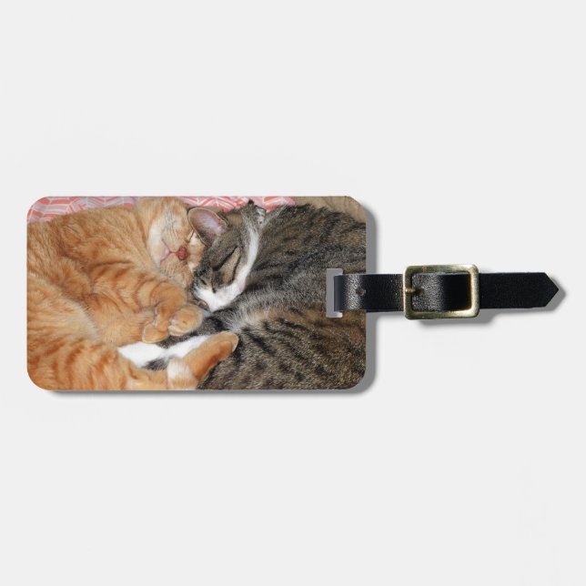 Nap Buddies Luggage Tag (Front Horizontal)
