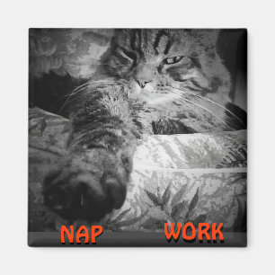 Nap or Work? Kitty Says "Nap" Meme Magnet