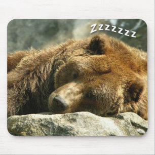 Nap Time Bear Mouse Pad