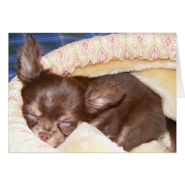 Nap Time - blank inside (Front Horizontal)