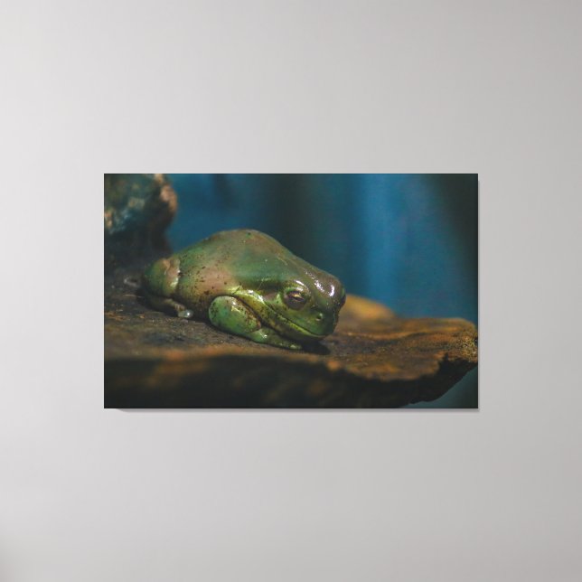 Nap Time Canvas Print (Front)