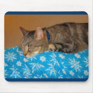 Nap Time For Indigo Mouse Pad