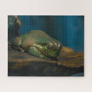 Nap Time Jigsaw Puzzle