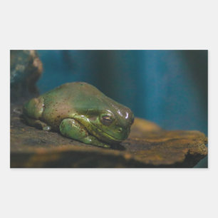 Nap Time Rectangular Sticker