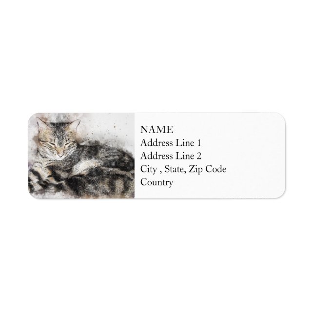 Nap Time Tabby | Abstract | Watercolor (Front)