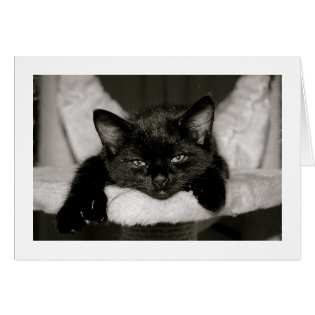 Nap With Me (Front Horizontal)