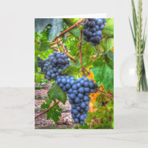 Napa Grapes Abstract Blank Note Card