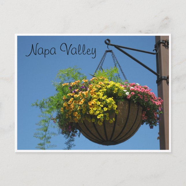 Napa Valley, Ca. Postcard (Front)