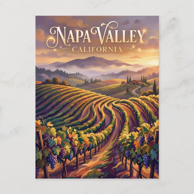 Napa Valley California Postcard (Front)
