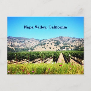 Napa Valley, California Postcard